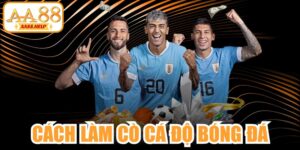 Cách Làm Cò Cá Độ Bóng Đá
